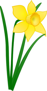 Single Daffodil Clip Art